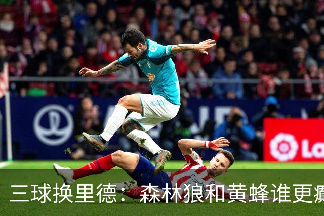 三球换里德：森林狼和黄蜂谁更癫？！