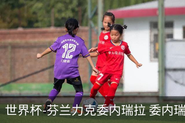 世界杯-芬兰力克委内瑞拉 委内瑞拉0胜5负告别